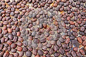 Natural dehydrate fermented coffee beans