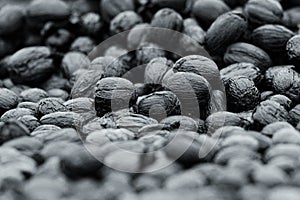 Natural dehydrate fermented coffee beans