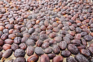 Natural dehydrate fermented coffee beans