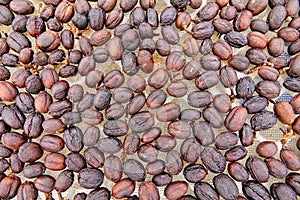 Natural dehydrate fermented coffee beans