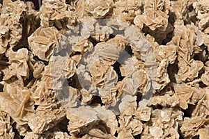 Natural desert roses