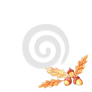 Natural design collection - corner watercolor element made of acorns, oak leaves. Autumn forest decoration. Happy fall