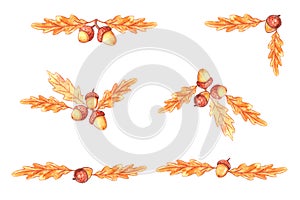 Natural design collection - watercolor elements made of acorns, oak leaves. Autumn forest decoration. Happy fall