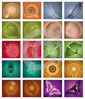 Natural design elements