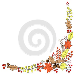 Natural design vector collection - corner element of colorful acorns, leaves and berries. Theme of happy fall, forest