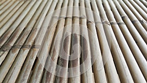 Natural detailed bamboo fence in tropics textured