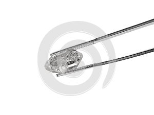 Natural diamond on white background held in diamond tweezers