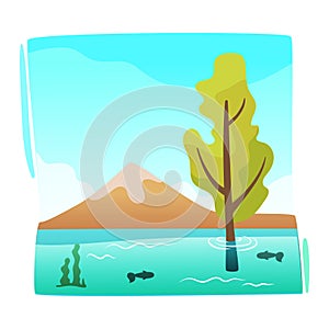 Natural Disaster Composition