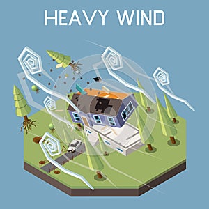 Natural Disaster Isometric