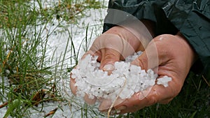 Natural disasters. Early spring snowy ice hail on green grass. A man holds a cold hail in hands