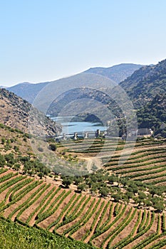 Natural do Douro Internacional landscape near Saucelle da photo