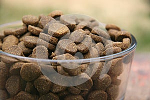 Natural Dog Food in a Bowl Kibble Pet Nutrition Food 