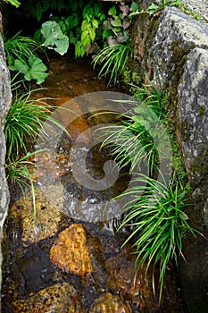 Natural drains or ditches, stone drains with trees and moss and clear water make it look fresh and bright, in rural Japan