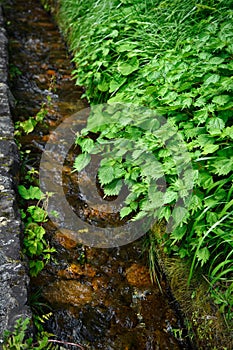 Natural drains or ditches, stone drains with trees and moss and clear water make it look fresh and bright, in rural Japan