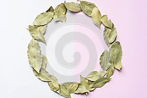 Natural dried green leaves on soft color background nock up with copy space f
