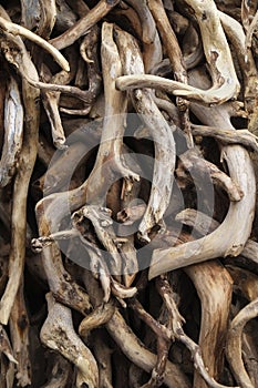 Natural driftwood collection