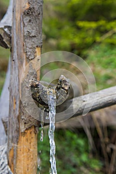 Natural drink water from forest source in Carpathians mountains