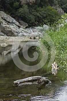 Natural drip in Sardinia 9