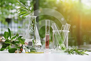 Natural drug research, Natural organic and scientific extraction in glassware, Alternative green herb medicine.