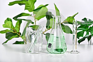 Natural drug research, Plant extraction in scientific glassware, Alternative green herb medicine, Natural organic skincare beauty