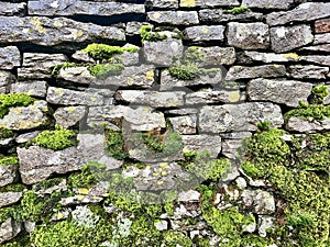 Dry Stone Wall