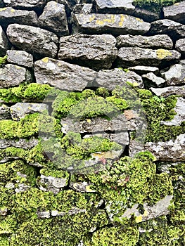 Dry Stone Wall