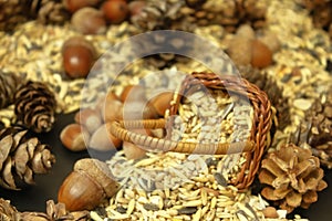 Animal Feed for Herbivious Wintering Animals photo