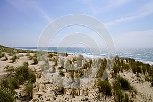Natural dunes in Le porge sand beach in summer day France