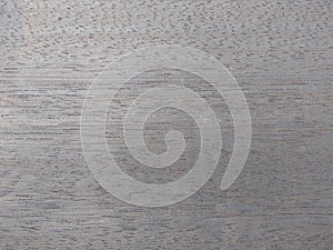 Natural Dyed platino gray wood texture background. Dyed platino gray veneer surface for interior and exterior manufacturers use photo