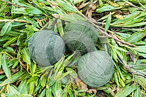 Natural dyed wool yarn peruvian Andes Cuzco Peru