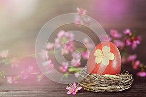 Natural Easter egg in the nest and spring flowers