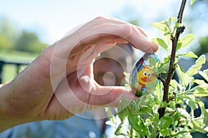 natural easter eggs in nature