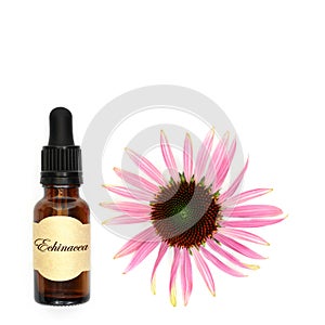 Natural Echinacea Alternative Herbal Medicine