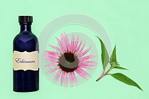 Natural Echinacea Herbal Medicine for Colds and Flu