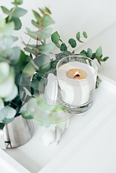 Natural eco home decor with green leaves and burning candle on t