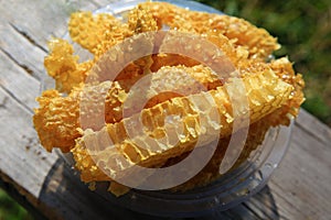 Natural ecological honeycomb in the village