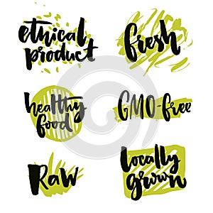 Natural elements for organic food and beverage. Gmo free and locally grown signs. Rough typography on green splotches