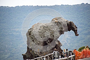 Natural Elephant Rock