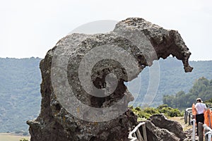 Natural Elephant Rock