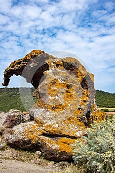 Natural Elephant Rock