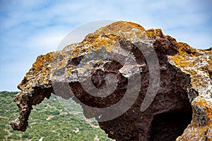 Natural Elephant Rock