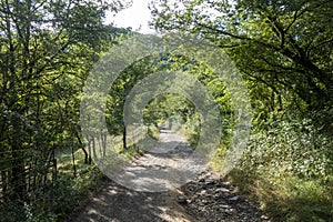 Natural environment of the town of Ripoll in Girona