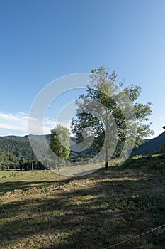 Natural environment of the town of Ripoll in Girona