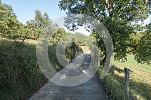 Natural environment of the town of Ripoll in Girona