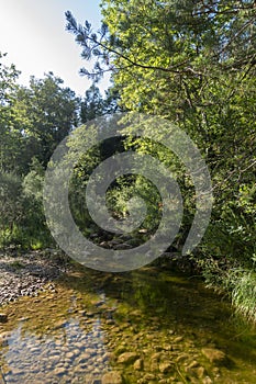 Natural environment of the town of Ripoll in Girona