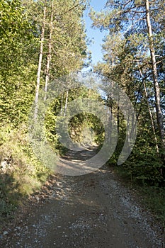 Natural environment of the town of Ripoll in Girona