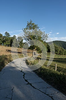 Natural environment of the town of Ripoll in Girona