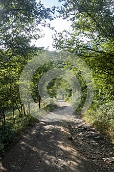 Natural environment of the town of Ripoll in Girona