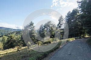 Natural environment of the town of Ripoll in Girona