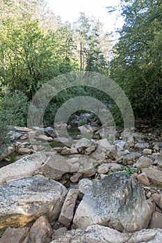 Natural environment of the town of Ripoll in Girona